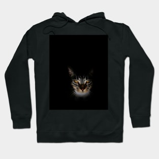 Into Your Soul Hoodie